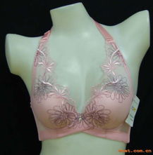 内衣新时尚 探访佛山市南海丰硕内衣厂